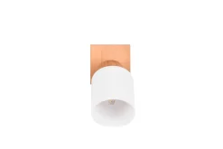 Trio Lighting Spotlights & Downlights-Assam Spotlight 1-os E14 Tre/Hvit