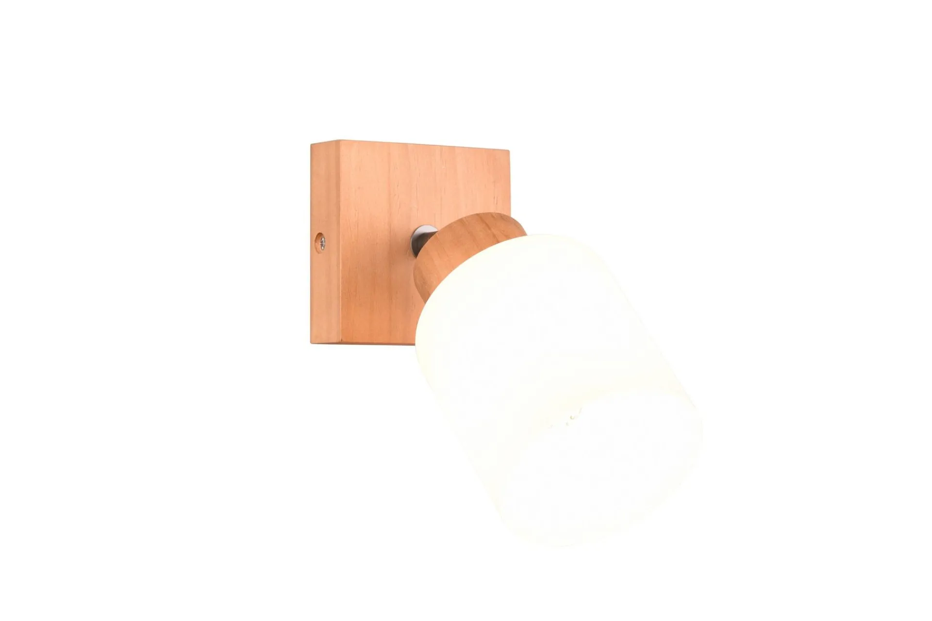 Trio Lighting Spotlights & Downlights-Assam Spotlight 1-os E14 Tre/Hvit