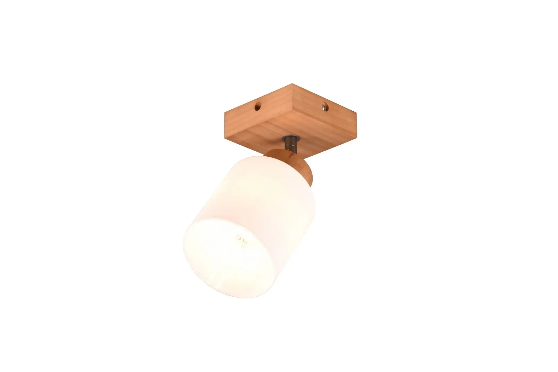 Trio Lighting Spotlights & Downlights-Assam Spotlight 1-os E14 Tre/Hvit