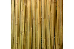 Bambusgjerde til hage 15x3m