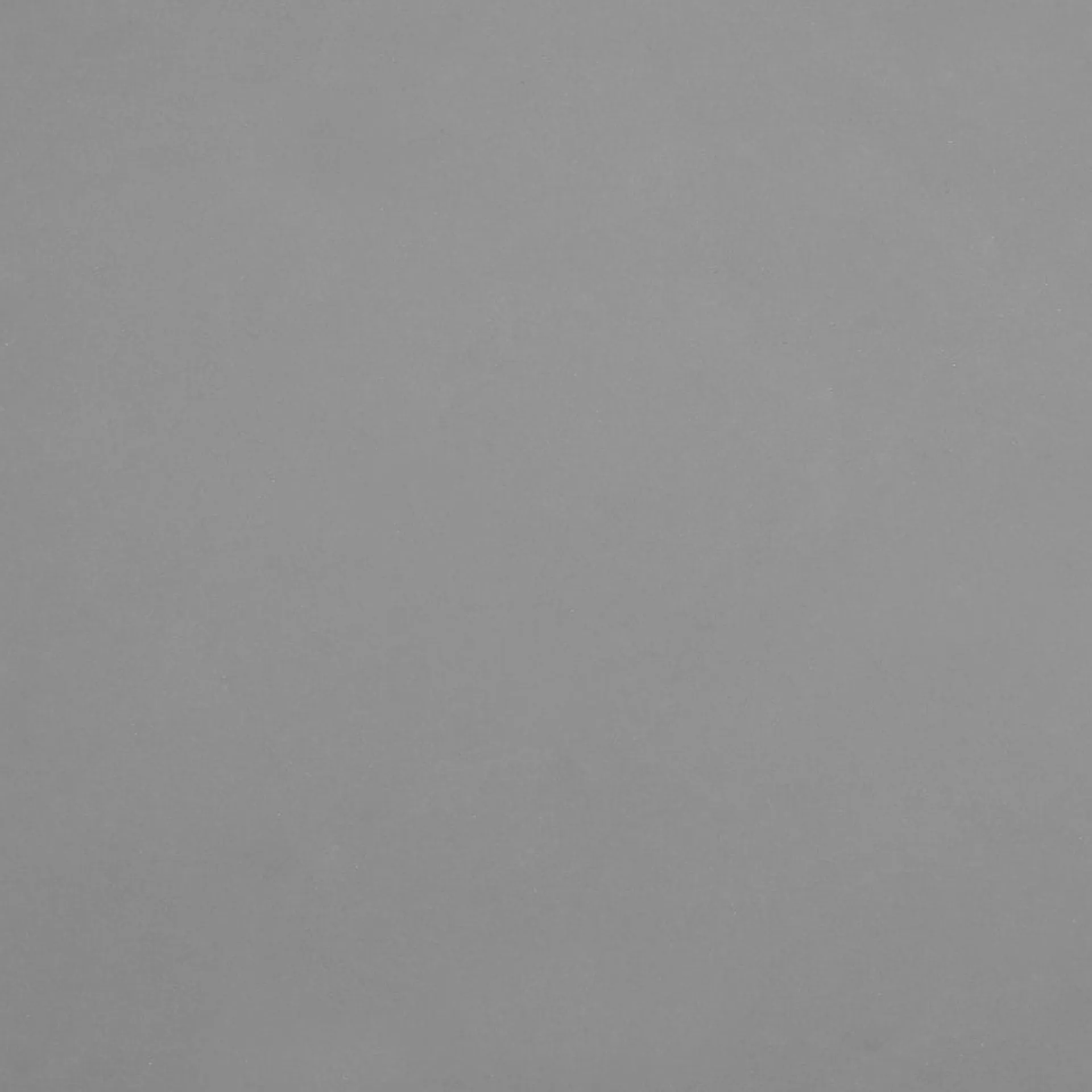 Benker-Benke Notteri Ljusbrun,Grey