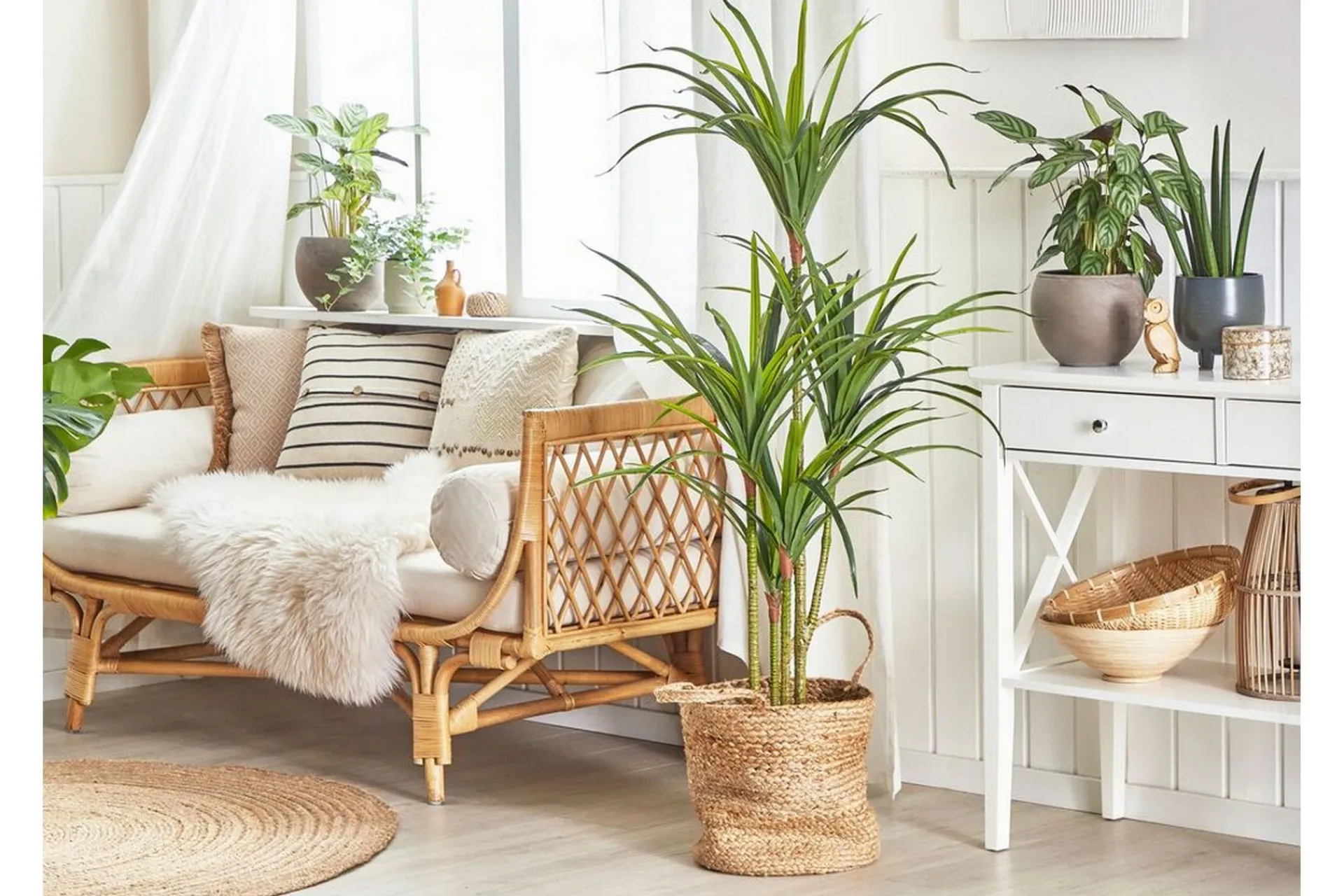 Kunstige Planter-Berden Kunstig potteplante 147 cm Dracaena anita Grønn