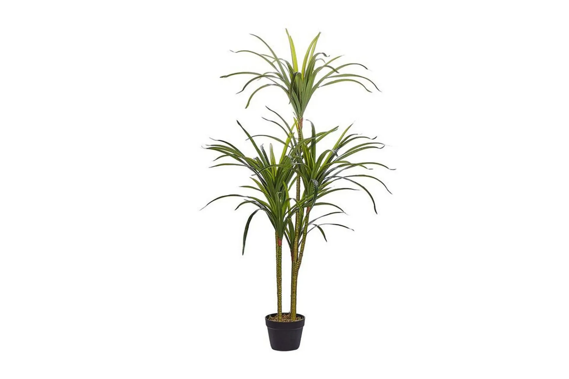 Kunstige Planter-Berden Kunstig potteplante 147 cm Dracaena anita Grønn