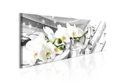 Lerretsbilder|Lerretsbilder-Bilde Twisted Orchids 120x40 Hvit