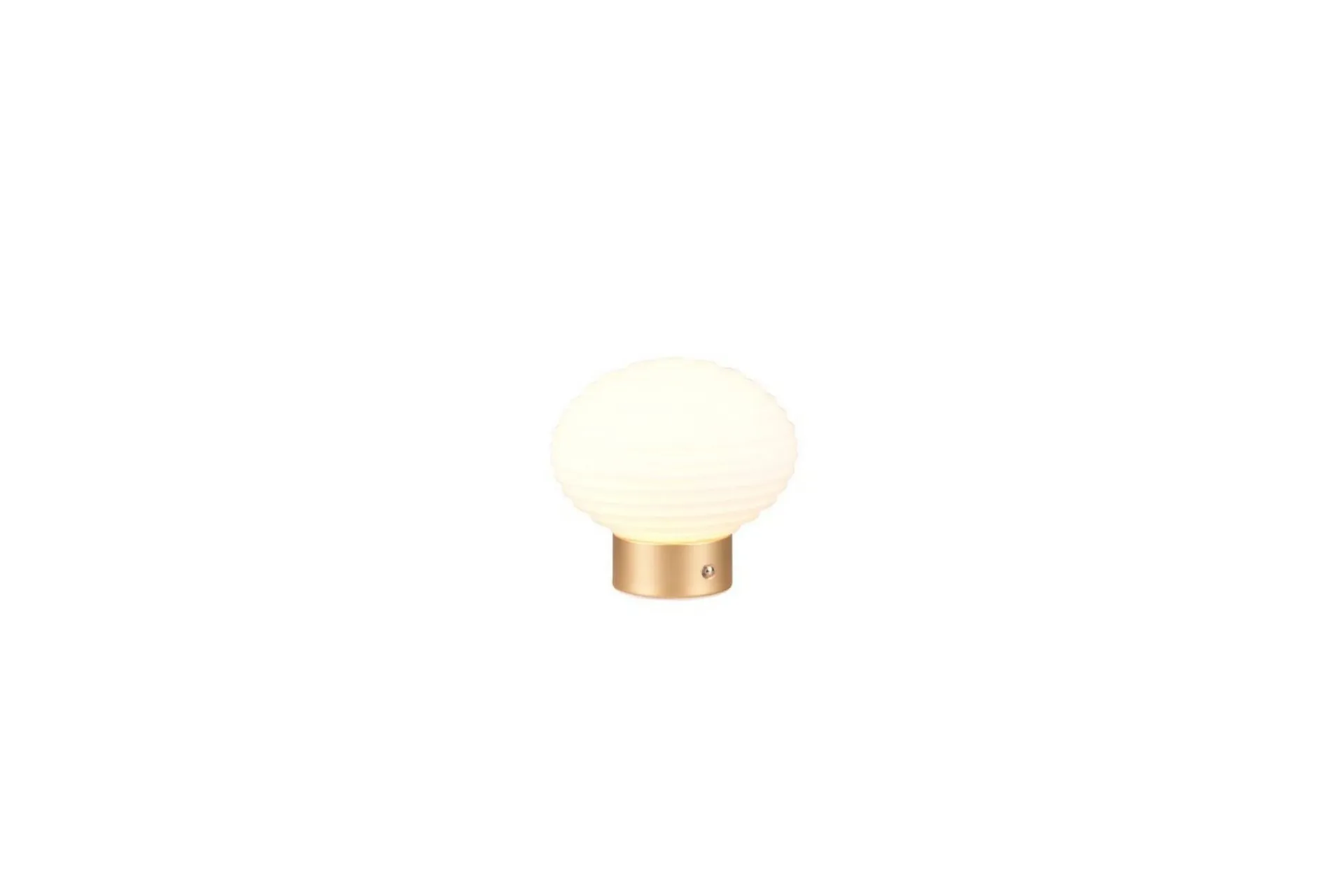 Trio Lighting Nattbordslampe|Bordlampe-Bordlampe TRIO Earl Matt messing/hvit Hvit,Messing
