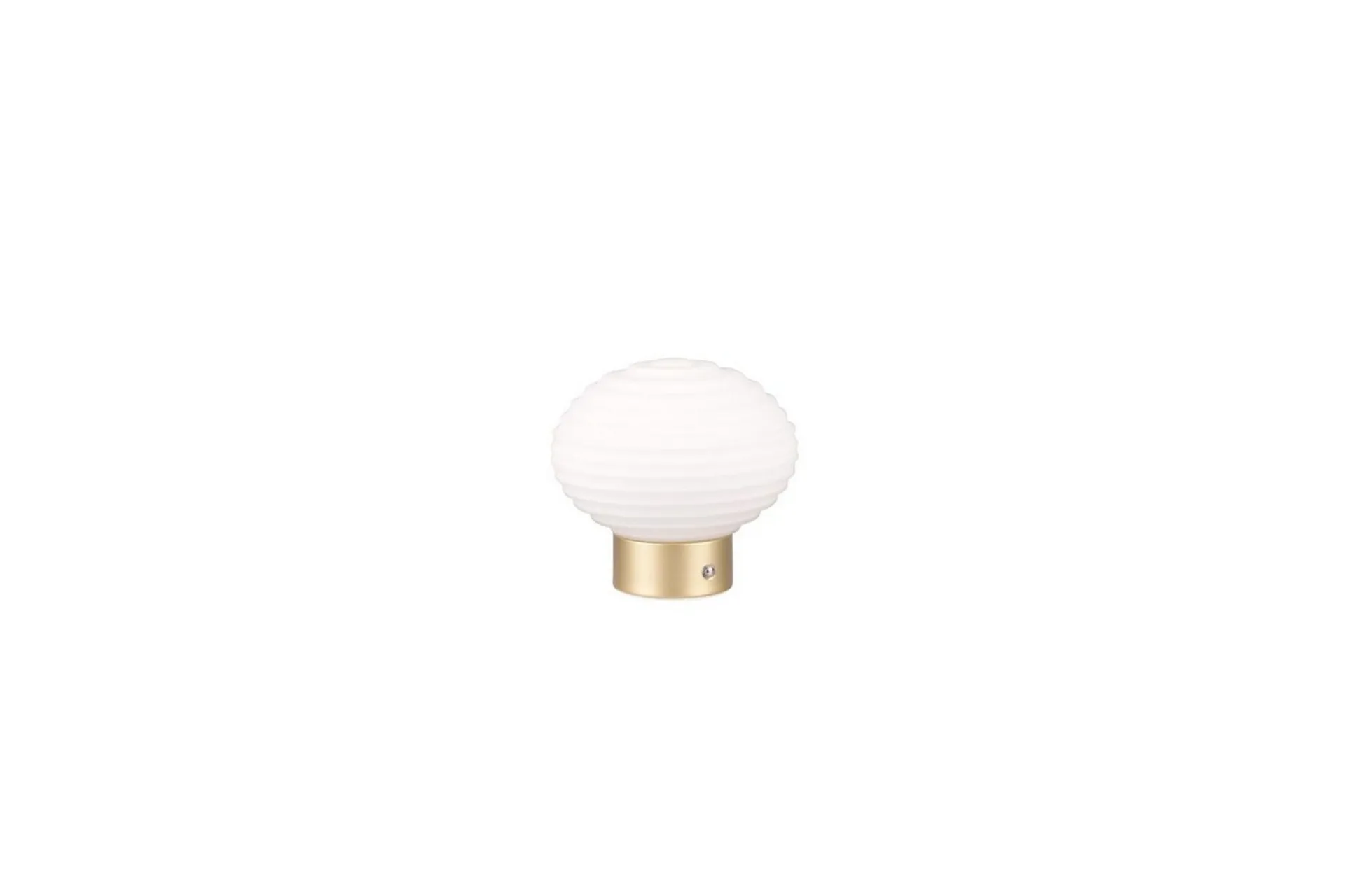 Trio Lighting Nattbordslampe|Bordlampe-Bordlampe TRIO Earl Matt messing/hvit Hvit,Messing