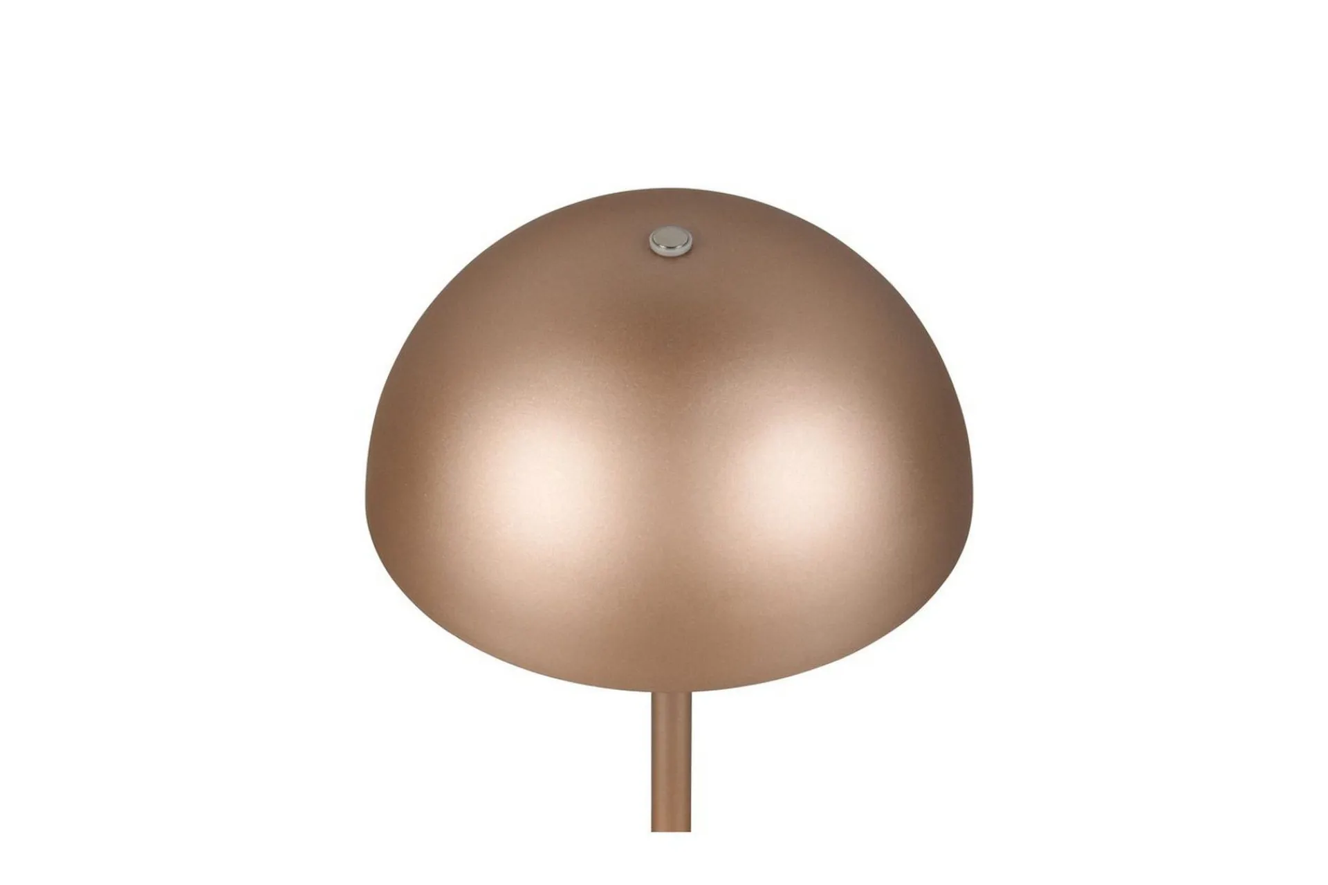 Trio Lighting Bordlampe TRIO Munoz Kaffe