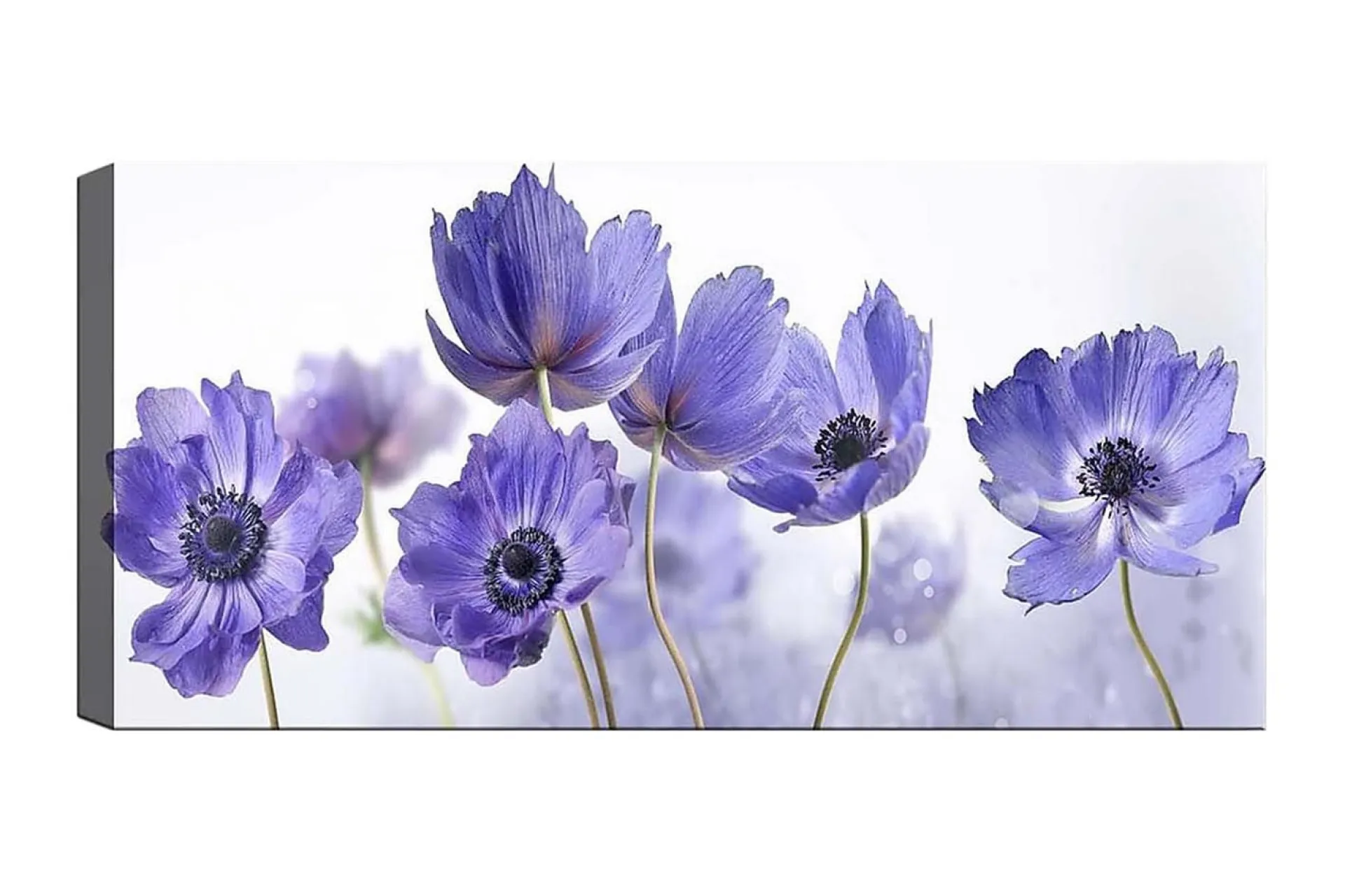 Lerretsbilder|Lerretsbilder-Canvasbilde YTY Floral & Botanical Flerfarget Flerfärgad