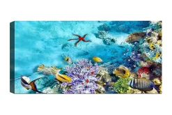 Lerretsbilder|Lerretsbilder-Canvasbilde YTY Nautical & Beach Flerfarget Flerfärgad