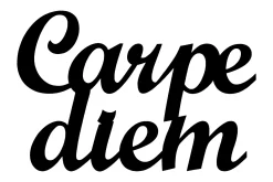 Carpediem 1 Veggdekor