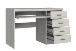 Kontorbord-Castillia Skrivebord 120 cm med Oppbevaring 4 Skuffer + Hyll Mørkt asketre