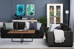 Basic Home 2 Seter Sofa-Crazy 2-seters Fløyelssofa Mørkegrå