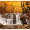 Tapeter-Fototapet Autumn Landscape Waterfall In Forest 200x154