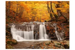 Tapeter-Fototapet Autumn Landscape Waterfall In Forest 200x154