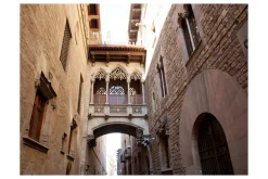 Fototapet Barcelona Palau Generalitat 250x193