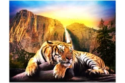 Tapeter-Fototapet Beauty And The Beast 400x309
