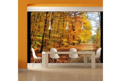 Rammer|Tapeter-Fototapet Beech Forest 350x270