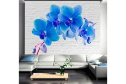 Fototapet Blue Excitation 350x245