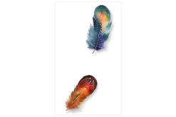Tapeter-Fototapet Colorful Feathers 50x1000