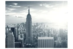 Fototapet Fantastic View To New York Manhattan 250x193