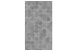 Tapeter-Fototapet Grey Beauty 50x1000