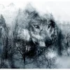 Fototapet Mountain Predator Black And White 300x210