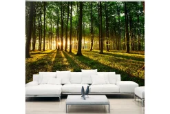 Tapeter-Fototapet Mystical Morning 350x245