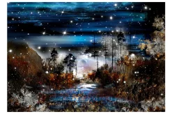 Rammer|Tapeter-Fototapet Night In The Forest 400x280