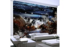 Rammer|Tapeter-Fototapet Night In The Forest 400x280