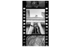 Fototapet NY Diversity Collage 50x1000