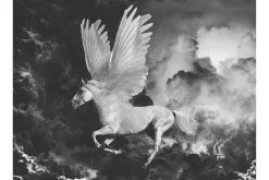 Tapeter-Fototapet Pegasus On The Road To Mount Olympus 250x193