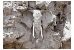 Tapeter-Fototapet The Bridge Of Time South Africa 400x280