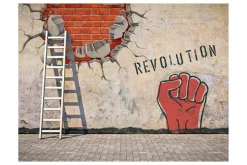 Fototapet The Invisible Hand Of The Revolution 250x193