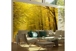 Rammer|Tapeter-Fototapet Vei Høst Skogen 350x270