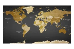 Fototapet XXL Verdenskart Modern Geography II 500x280