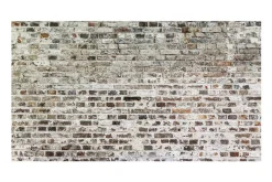 Fototapet XXL Walls Of Time 500x280