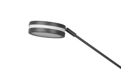 Trio Lighting Stuelampe|Soveromslampe-Franklin LED-Gulvlampe Uplighter Antrasitt Antracit