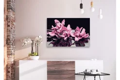 Gjør-det-selv-maleri Rosa orkidé Svart 60x40 ca.