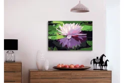Gjør-det-selv-maleri Vannlilje 60x40 cm