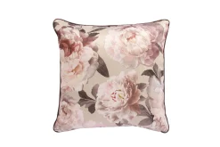 Holly Pute Rosa pioner