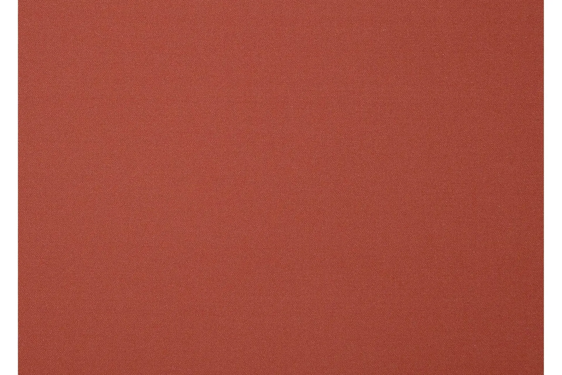 Java Pute 50 cm