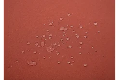 Java Pute 50 cm