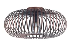Trio Lighting Johann Plafond 1xE27 antikk