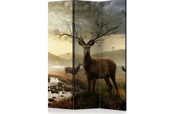 Kadira Romdeler 135x172