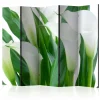 Kadira Romdeler 225x172