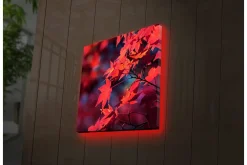 Lerretsbilder|Lerretsbilder-Lerretsbilde med LED-belysning 28x28 cm - Klart rødt lønneblad i høstfarger Flerfärgad