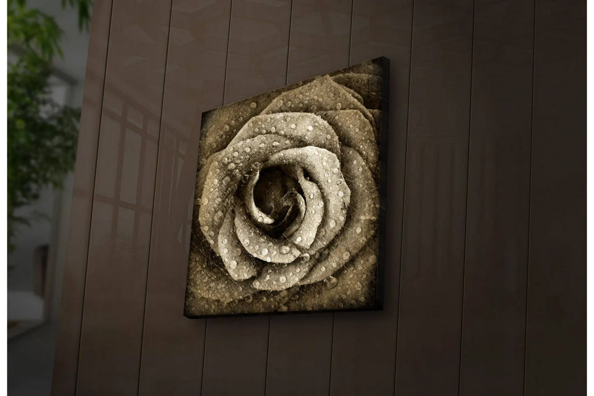 Lerretsbilde med LED-belysning 40x40 cm - Vakker rose med vanndråper