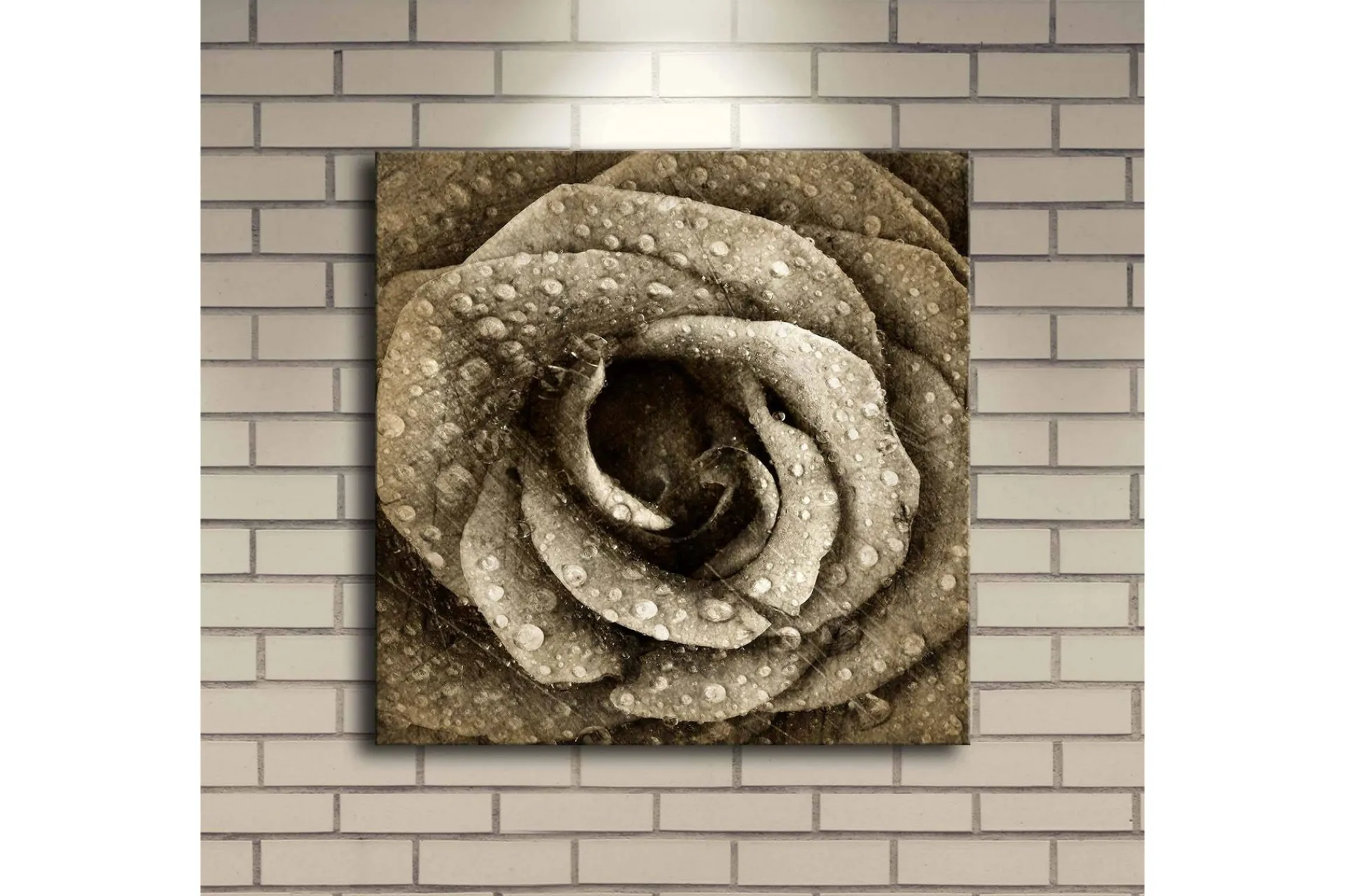 Lerretsbilde med LED-belysning 40x40 cm - Vakker rose med vanndråper