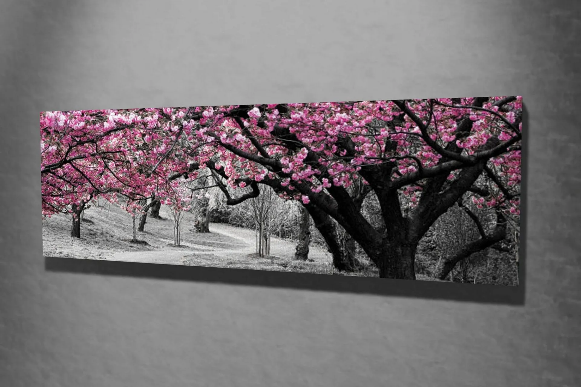 Lerretsbilde 80x30 cm - Blomstrende kirsebærtrær i svart-hvitt landskap