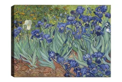 Lerretsbilder|Lerretsbilder-Lerretsbilde 70x100 cm - Fargerik samling av irisblomster i forskjellige blånyanser Flerfärgad